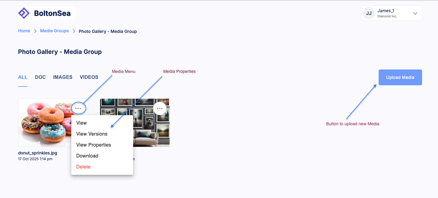 Media properties & features in a media group